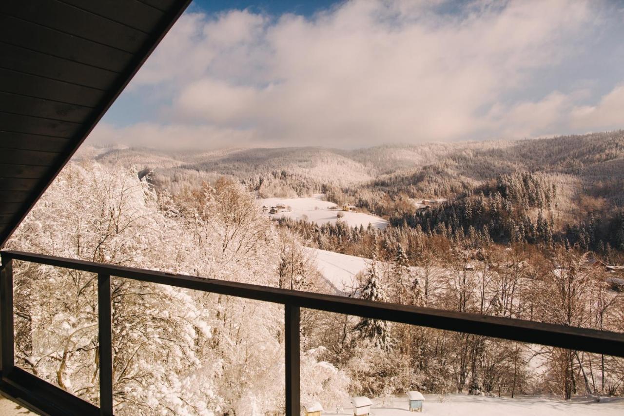 Apartamenty 'Okno Z Widokiem' วีสวา ภายนอก รูปภาพ