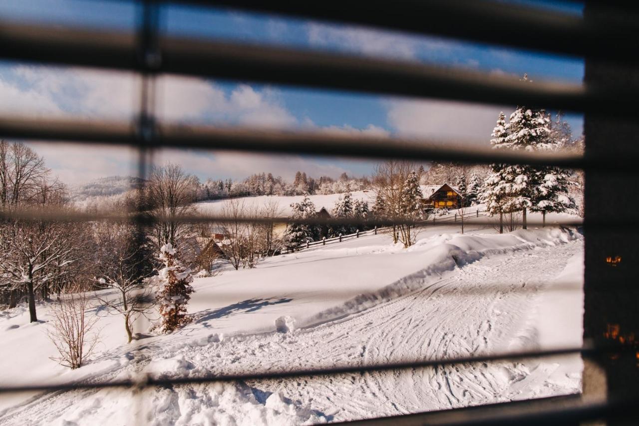 Apartamenty 'Okno Z Widokiem' วีสวา ภายนอก รูปภาพ